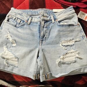 Maurices shorts